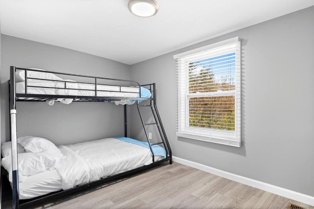 Pet Friendly & Great Outdoor Space Close To Downtown Chattanooga Zewnętrze zdjęcie